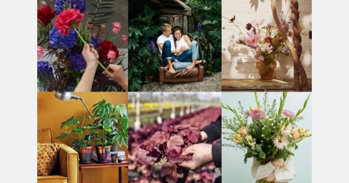 دیدگاه مصرف کنندگان در مورد پایداری گل ها و گیاهان مثبت تر است