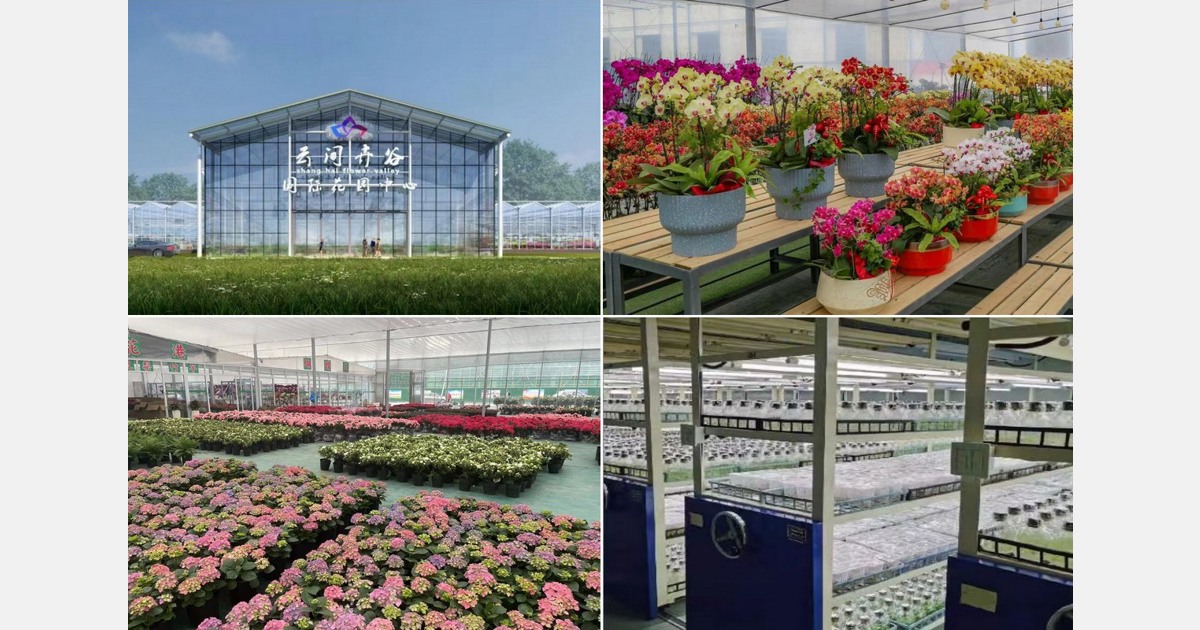 "هدف ساختن بزرگترین مرکز گل در شانگهای است، نه فقط یک بازار عمده فروشی گل."