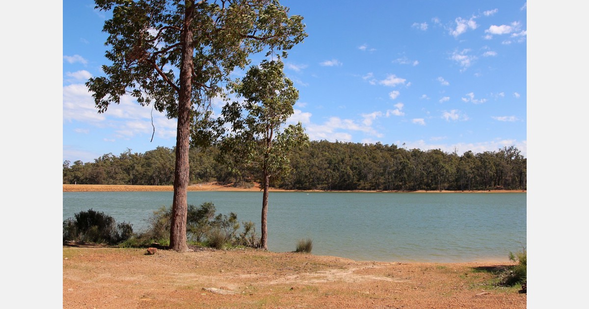 کمبود آب بر کشاورزان جنوب غربی استرالیا تأثیر می گذارد