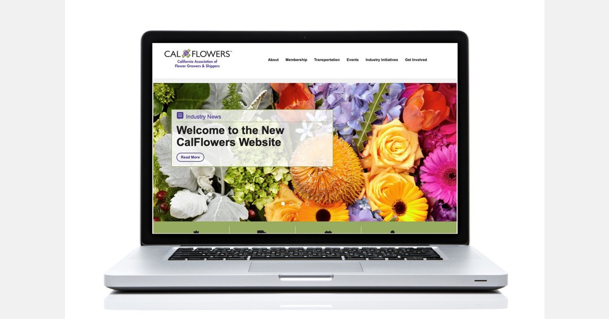 CalFlowers وب سایت جدیدی را برای افزایش تجربه کاربری برای متخصصان صنعت گل راه اندازی می کند