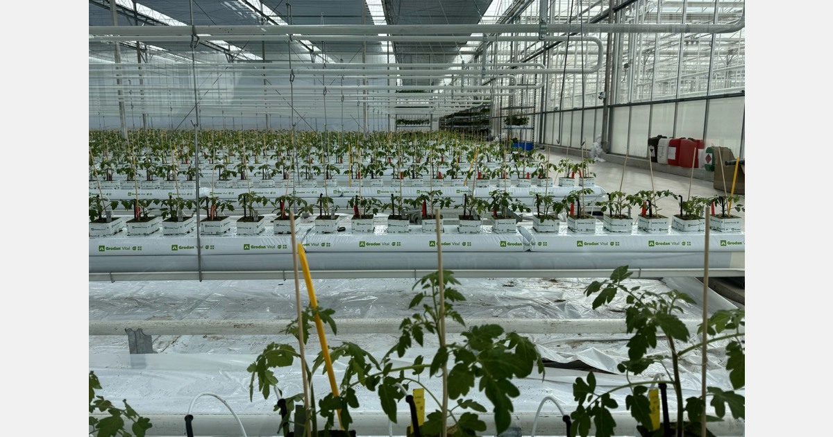 نصب گلخانه جدید تحقیق و توسعه در سه روز به پایان رسید