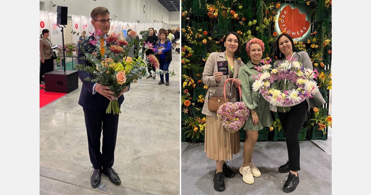 گل های داوودی هلندی در نمایشگاه قزاقستان خیره می شوند